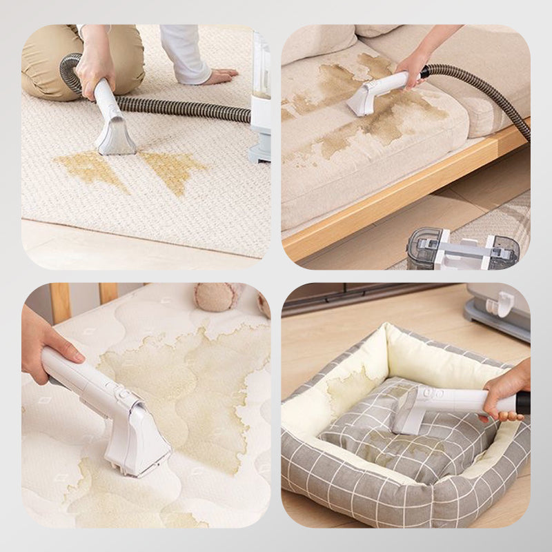 Multifunctional  Dry Cleaning Machine for Cloth Carpet Sofa Mattress